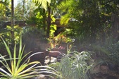 Enlarge photo 36