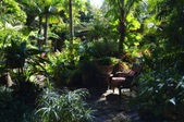 Enlarge photo 37
