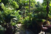 Enlarge photo 38