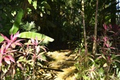 Enlarge photo 39