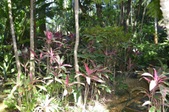 Enlarge photo 40