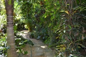 Enlarge photo 41