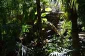 Enlarge photo 42
