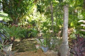 Enlarge photo 43