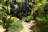 Enlarge photo 45