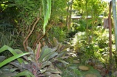 Enlarge photo 46