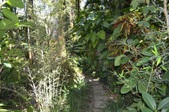 Enlarge photo 47