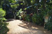 Enlarge photo 48