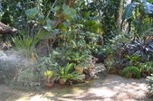 Enlarge photo 50