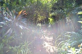 Enlarge photo 51