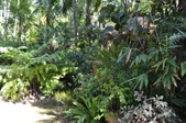 Enlarge photo 52