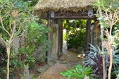 Enlarge photo 53