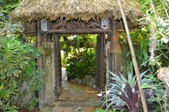 Enlarge photo 54