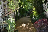 Enlarge photo 55