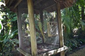 Enlarge photo 56