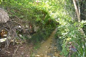 Enlarge photo 59