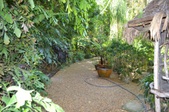 Enlarge photo 60