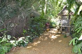 Enlarge photo 61