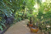 Enlarge photo 62