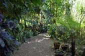 Enlarge photo 63