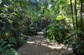 Enlarge photo 64