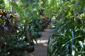 Enlarge photo 66
