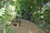 Enlarge photo 67