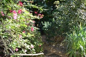 Enlarge photo 70