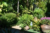 Enlarge photo 81