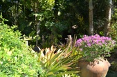 Enlarge photo 86