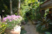 Enlarge photo 87