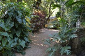 Enlarge photo 88