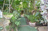 Enlarge photo 90