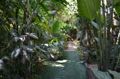 Enlarge photo 89