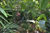 Enlarge photo 91