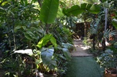 Enlarge photo 92