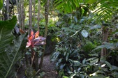 Enlarge photo 93