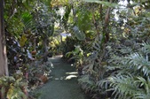 Enlarge photo 94