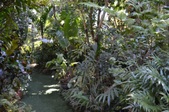 Enlarge photo 95