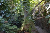 Enlarge photo 96