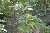 Enlarge photo 97