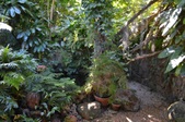 Enlarge photo 98