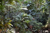 Enlarge photo 99