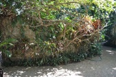 Enlarge photo 104