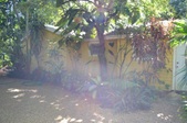 Enlarge photo 105