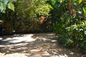 Enlarge photo 106