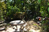 Enlarge photo 109