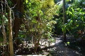 Enlarge photo 111