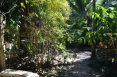 Enlarge photo 112