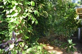 Enlarge photo 113